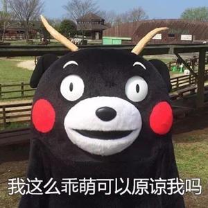 破皮裤官方网站登录入口网页
